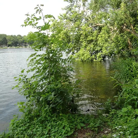 Mit Seeblick